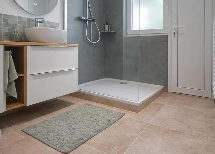 Le Grand Cure D'air Avec Garage Pour 8 Personnes Apartment Nancy